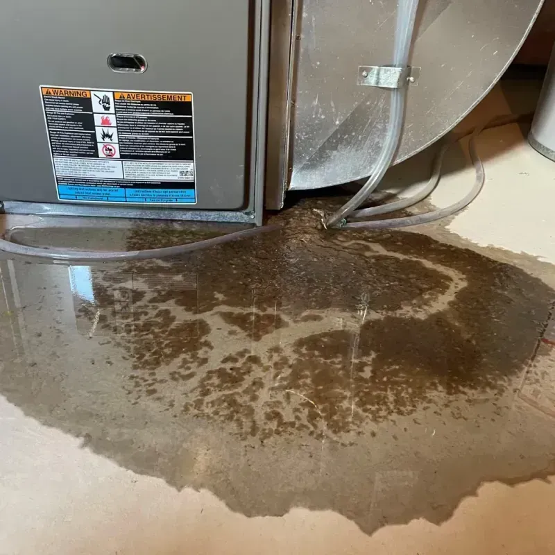 Appliance Leak Cleanup in Midfield, AL